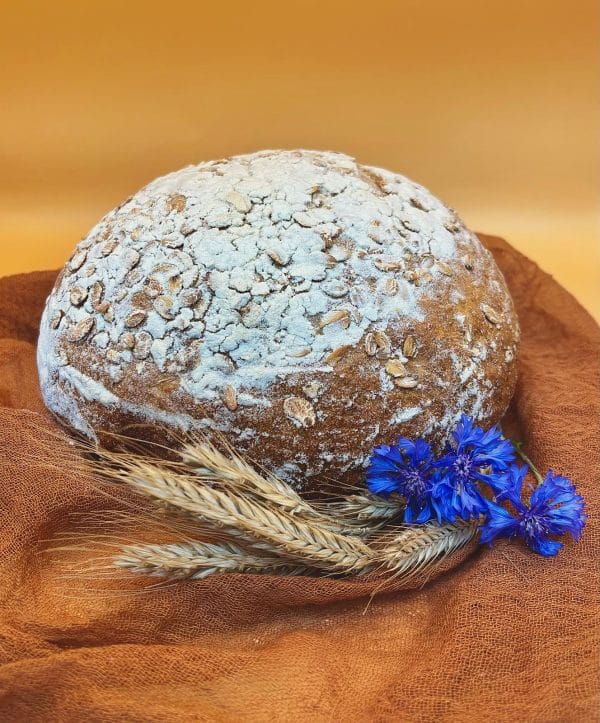 BD seizoenenbrood Bio 700g