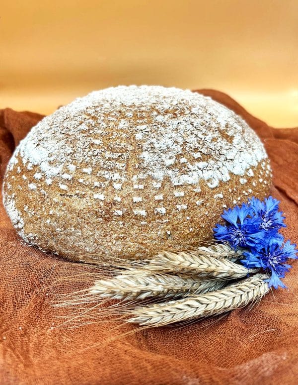 BD desem-voltarwebrood Bio 800g