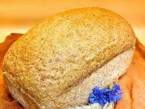 BD voltarwebrood 800g