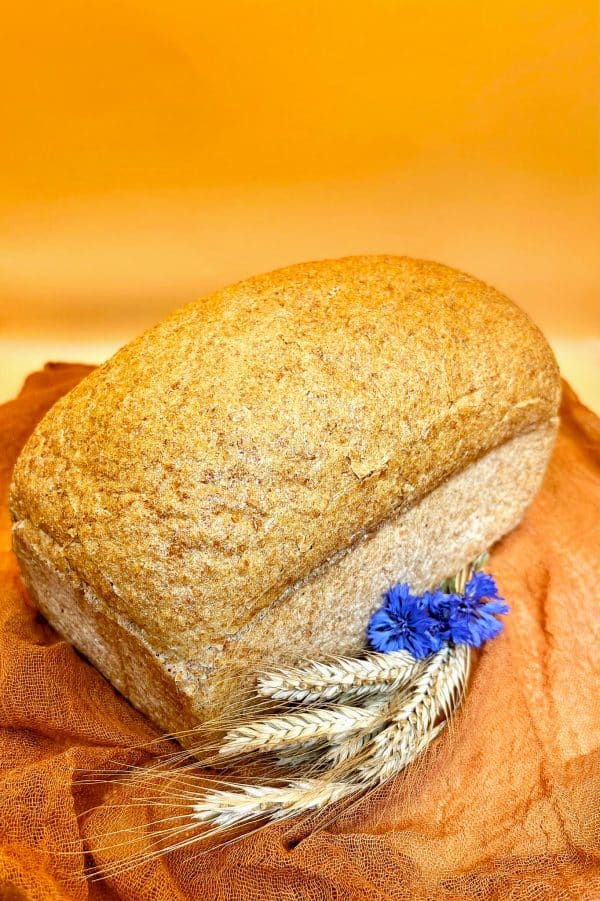 BD voltarwebrood 800g