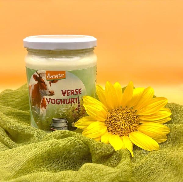BD YOGHURT Bio 500ml